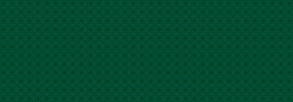 HnC Page__Intro BG.png