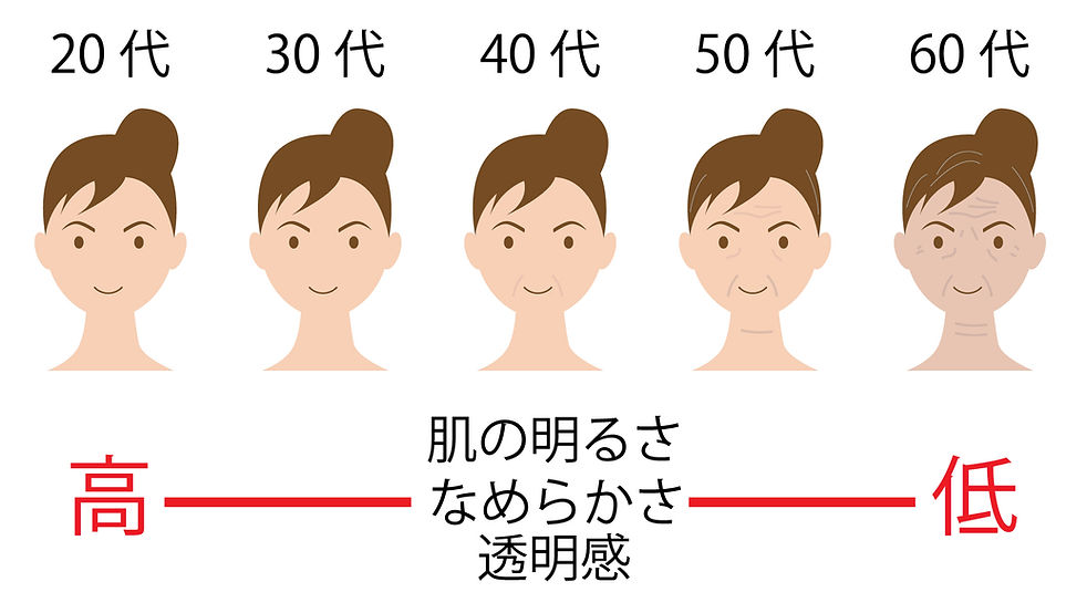 年齢別イラスト.jpg