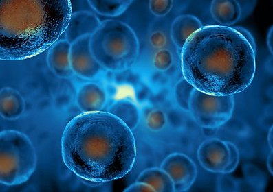 Steem Cells 2.jpg