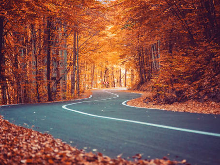 FALL TRAVEL The Unspoken Allure