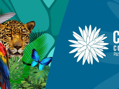 COP 16 de la Biodiversidad. “Paz con la naturaleza” Oct 21 – Nov 01, de 2024, Cali, Colombia.
