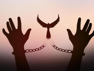 La importancia de la libertad