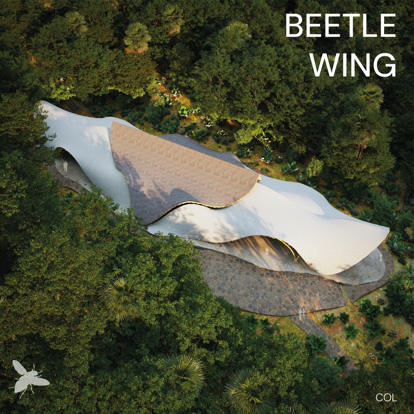 Beetle Wing
