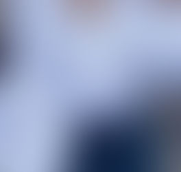 Solid Color Turn Down Collar Button Down Bishop Blouse