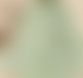 Stripe Print Long Sleeve Button Front Twisted Lapel Blouse