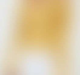 Women Solid Color Off Shoulder Bowknot Button Long Sleeve Blouse