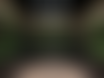 Elevate Your Home with Bespoke Specialty Rooms