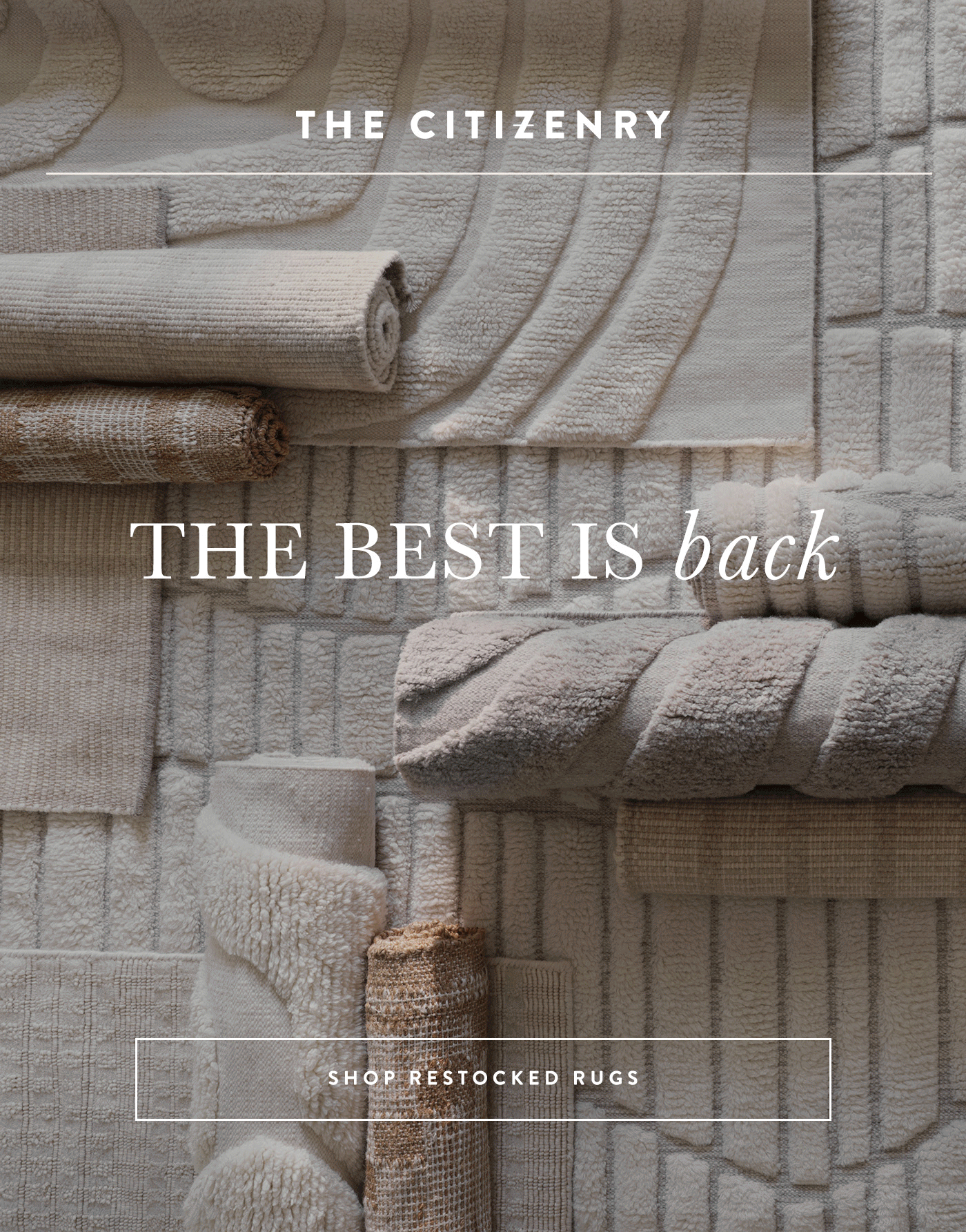 Rugs Back In Stock Email