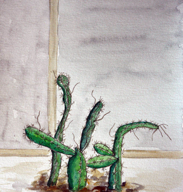 Myrian Lima - Cactus - 21x30 - aquarela.jpg
