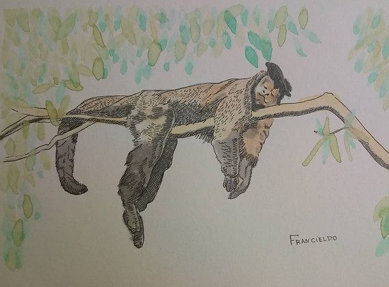 Descanço Pós Almoço, Aquarela, nanquim e