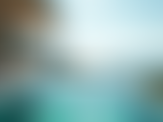 The Power of Customized Trip Planning: Crafting Your Perfect Luxury Escape