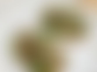 Protein-Packed Paneer Chickpea Open Sourdough Sandwich