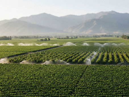 Campos agrícolas en la Región del Maule con sistema de riego activo, representando mercado de derechos de agua fiscalizados por la DGA