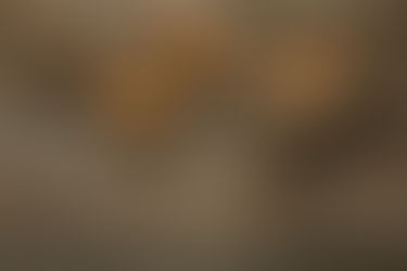 The 5 Must-Try Holistic Therapies in Nosara