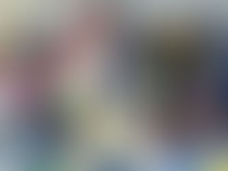 SE REAFIRMA SAN MIGUEL DE ALLENDE COMO SEDE DE «CAMPEONATO INTERNACIONAL DE TAEKWONDO»