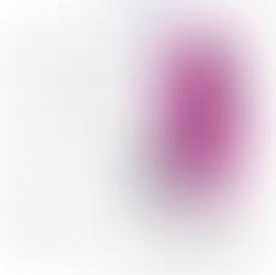 ESTÁ LISTA LA SEGUNDA EDICIÓN DE LA «FERIA DEL LIBRO SAN MIGUEL DE ALLENDE 2023