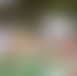 AUMENTA ADMINISTRACIÓN MUNICIPAL ESPACIOS PARA MÁS DISCIPLINAS DEPORTIVAS