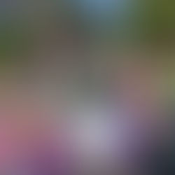 SIGUE RESCATANDO GOBIERNO SANMIGUELENSE MÁS ESPACIOS PÚBLICOS