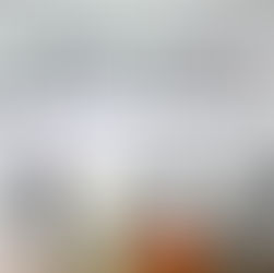 RESCATA ADMINISTRACIÓN MUNICIPAL HISTORIA DE SAN MIGUEL DE ALLENDE CON BIBLIOTECA DIGITAL