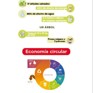 FOMENTA ADMINISTRACIÓN SANMIGUELENSE CULTURA DE RECICLAJE