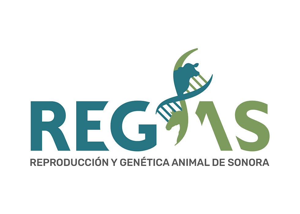 Regas_4_a