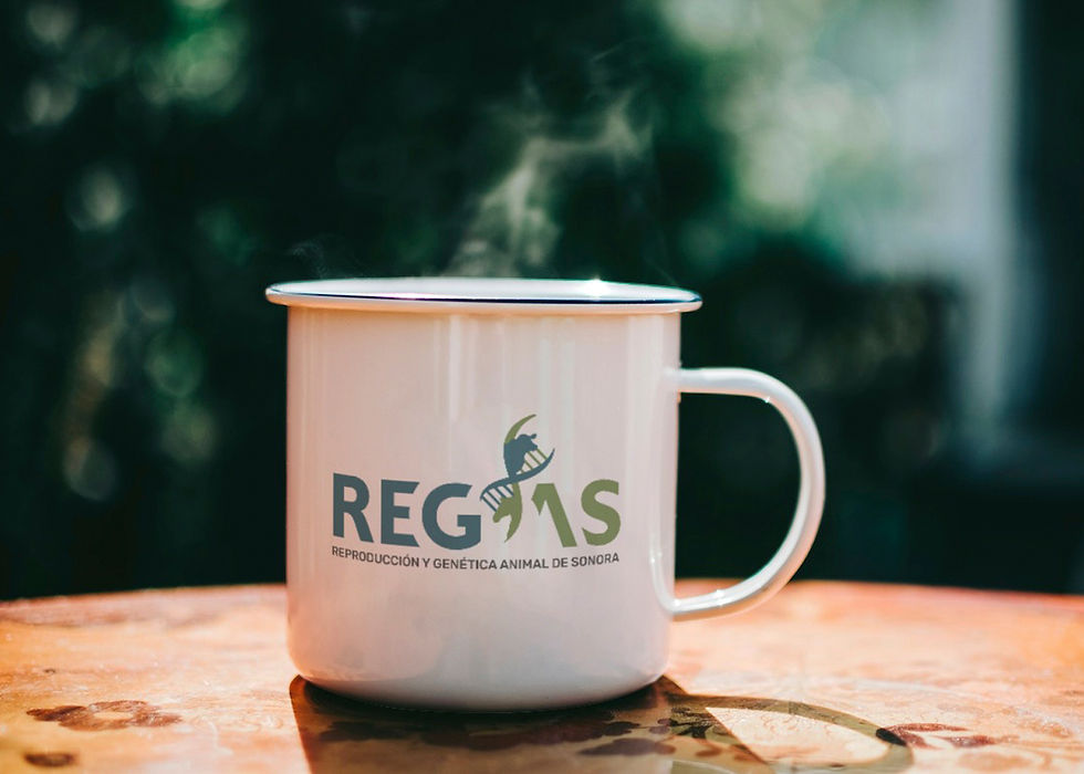 Regas_4_e