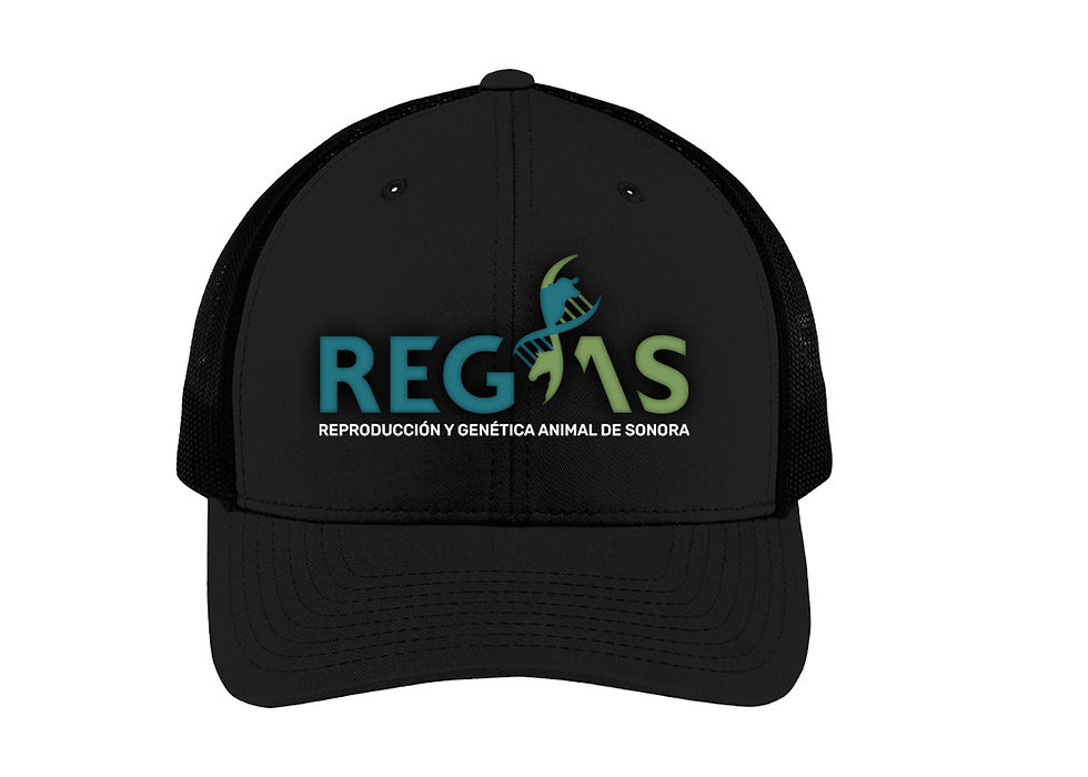 Regas_4_g