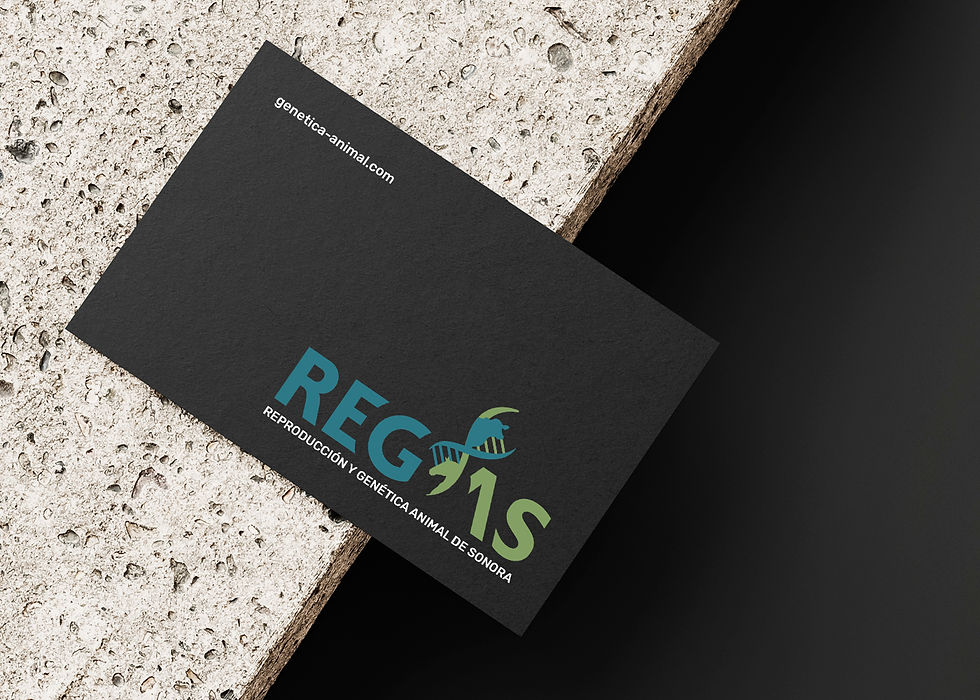 Regas_4_h