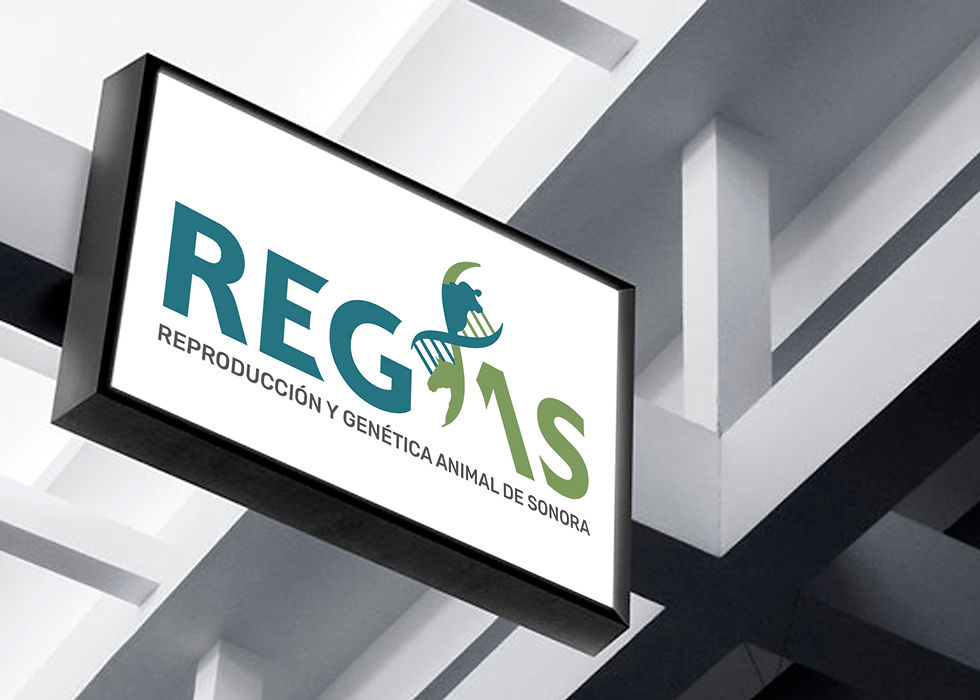 Regas_4_f