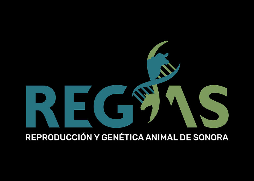 Regas_4_c