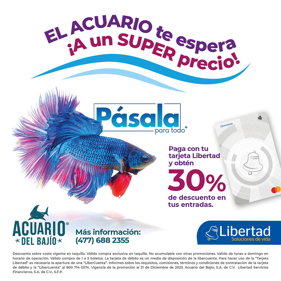 Libertad_Aquarium3