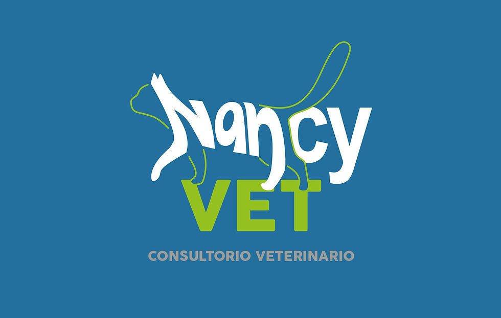 NancyVet-B
