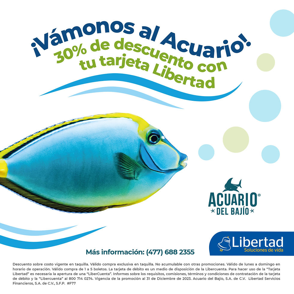 Libertad_Aquarium2