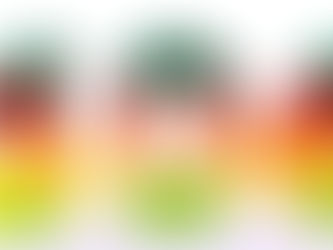 Fractions, decimals and other numbers you need to know about