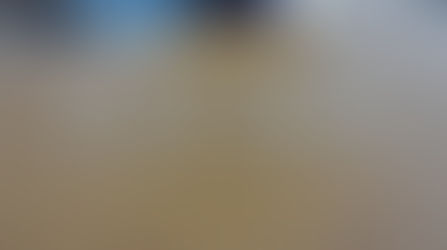 Bridge Span Projecct