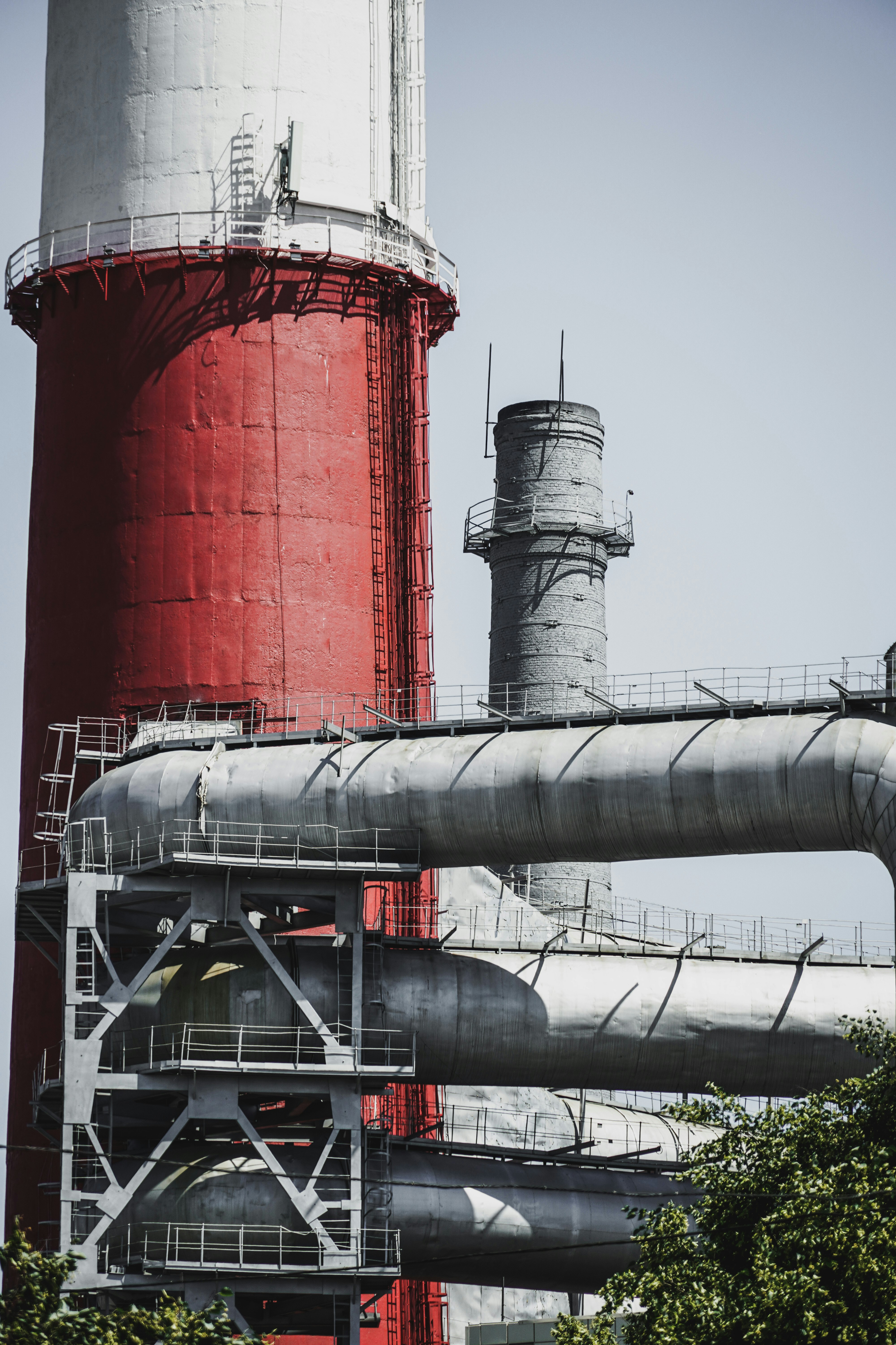 plant-04.jpg