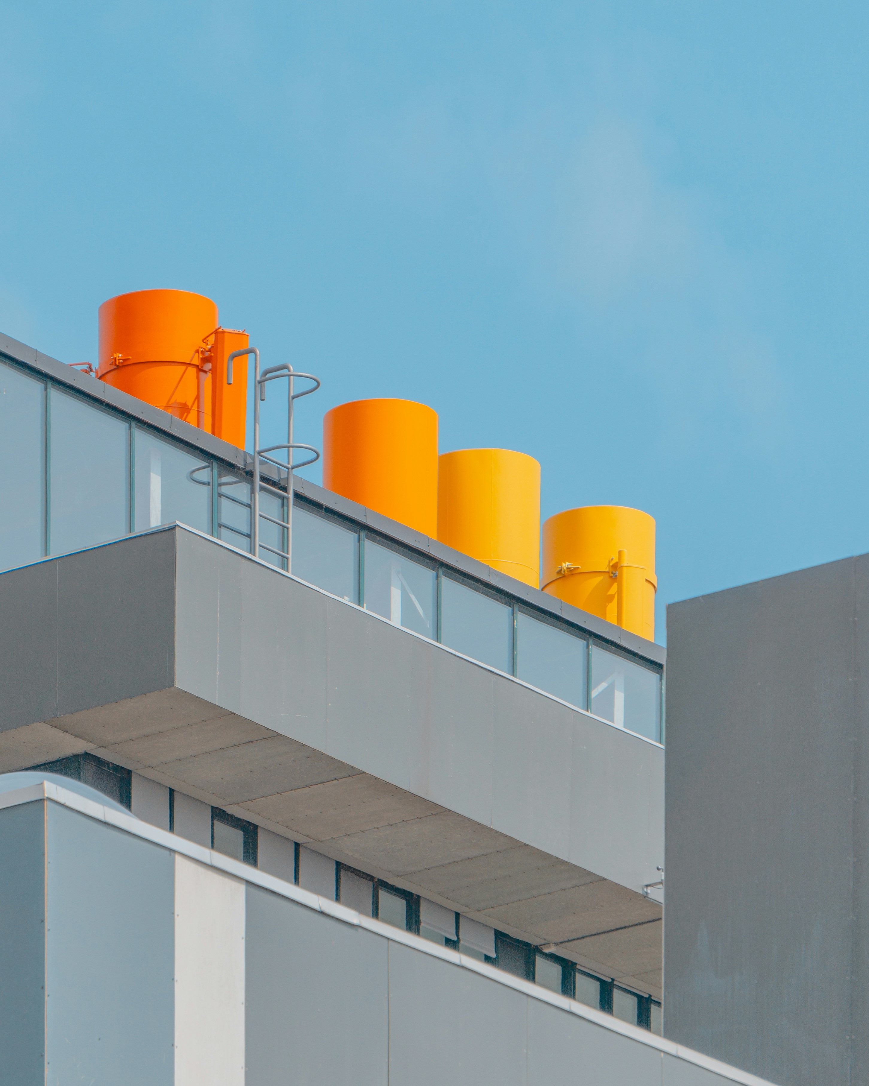 plant-03.jpg