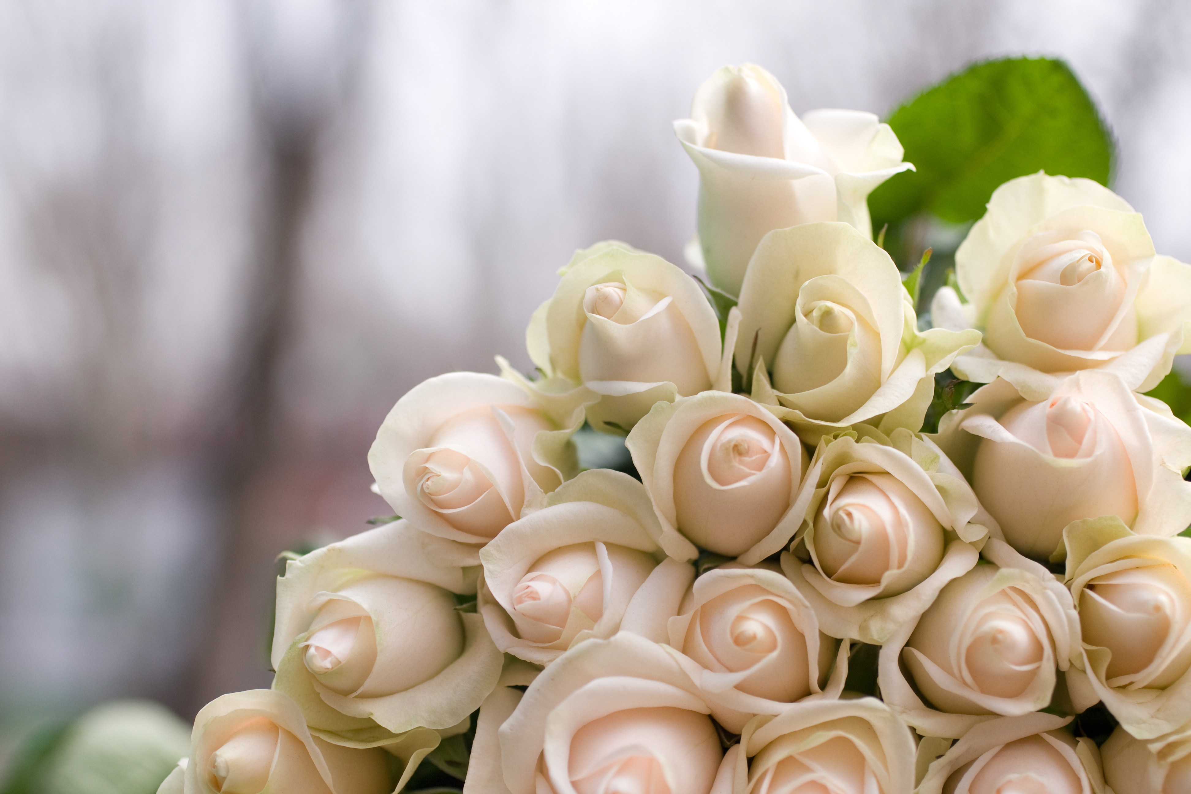 Bouquet de mariage