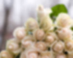 Connecticut wedding flowers