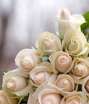 White Rose Bouquet