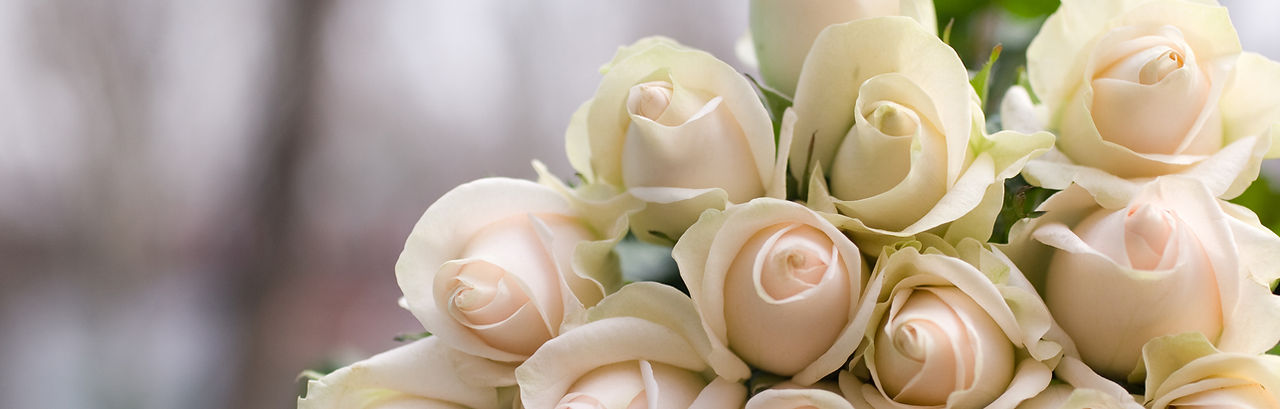 Wedding Bouquet