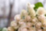 Wedding Bouquet