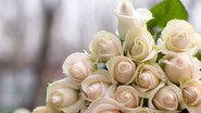 Wedding Bouquet