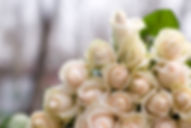 Wedding Bouquet