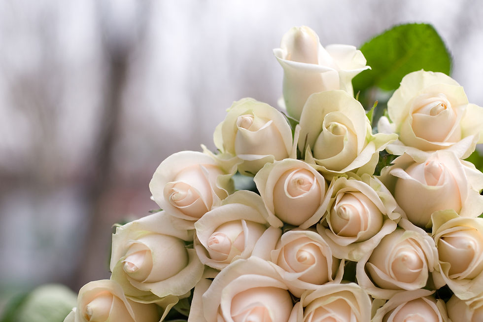 Strauß weißer Rose