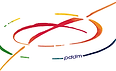 LOGO PDDM