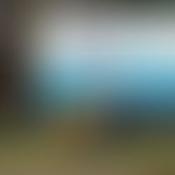 MP denuncia Braskem e executivos por afundamento de bairros em Maceió