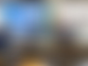 Pontes entre Brasil e Japão: Manzoni destaca lições da cultura japonesa em evento da REN Brasil no Congresso