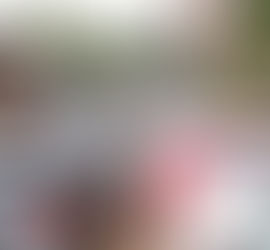 Ibaneis descarta cobrança de estacionamento no Plano Piloto e desiste da Zona Verde