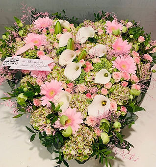 336478780_1605330279893863_3364239649827763201_n (1).jpg